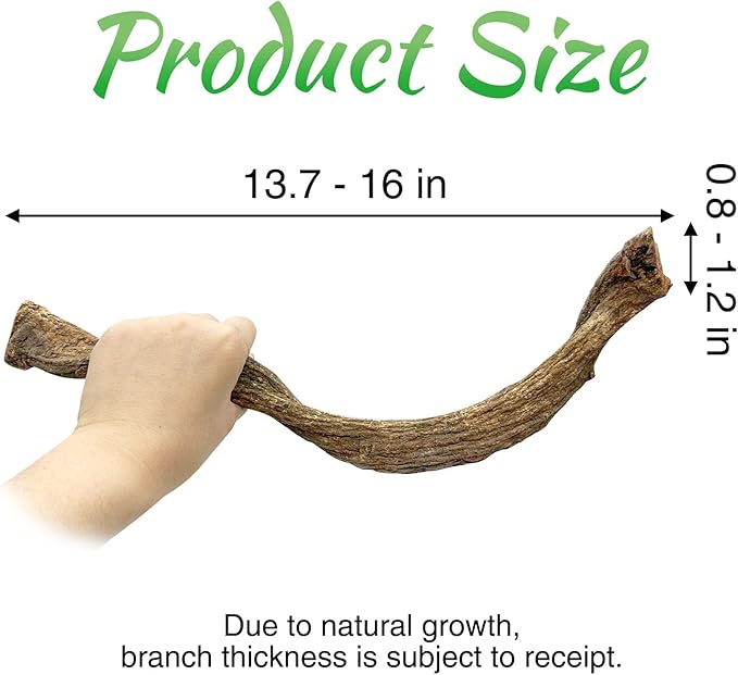 Reptile Branch Decor Snake Climbing Wood Branches Lizard Habitat Decorations Terrarium Natural Forest Tree Trunk Ornament for Bearded Dragon Geckos Chameleon Frog 6 Pcs - S