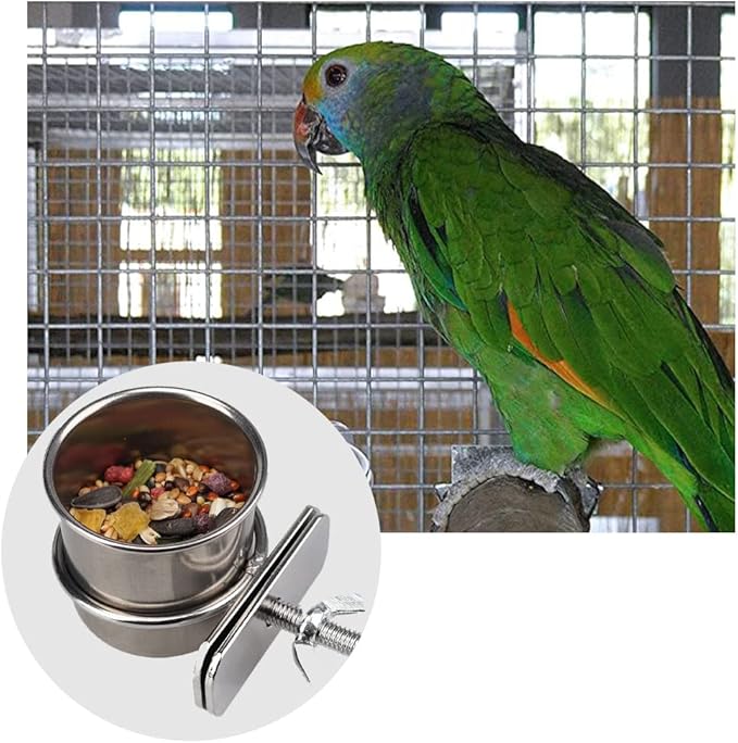 2 Pcs Parrot Feeding Cups Birds Food Dish Parrot Bowl Stainless Steel Parrot Feeding Cups Sturdy Water Bowl Bird Feeding Dish Suitable for Parrots or Other Birds Bird Feeding Dish (S-1.73in/2.17in)