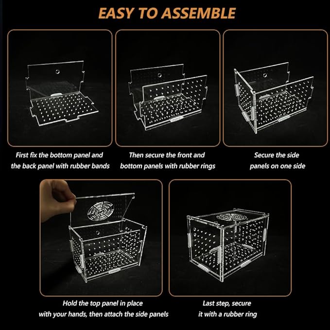 Acrylic Fish Breeding Box, Transparent Fish Isolation Box Hatchery Incubator with Suction Cups for Aquarium Fish Tank Guppy Shrimp Clownfish African Cichlids (6 * 4 * 4inch)