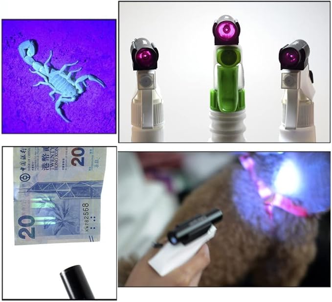 UV Light 365nm Pet Urine Detecting Flashlight with Black Filter Blacklight Torch