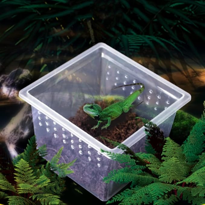 10 Pcs Acrylic Insect Reptile Spider Terrariums Breeding Box Hatching Container,Small Size(5.7cm x5.7cm x4.2cm)