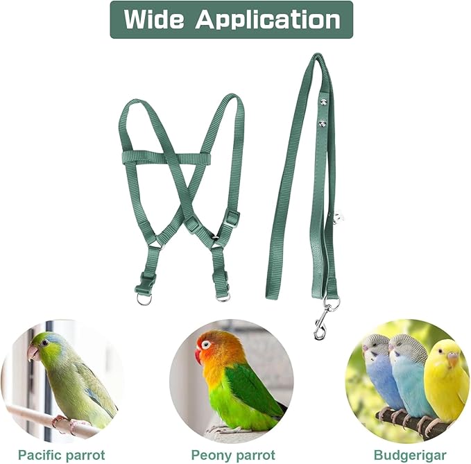 Pet Parrot Bird Harness and Leash, Adjustable Parrot Traction Harness Leash, Outdoor Flying Training Rope Anti Bite Training Rope for Parrot Macaw Cockatoos