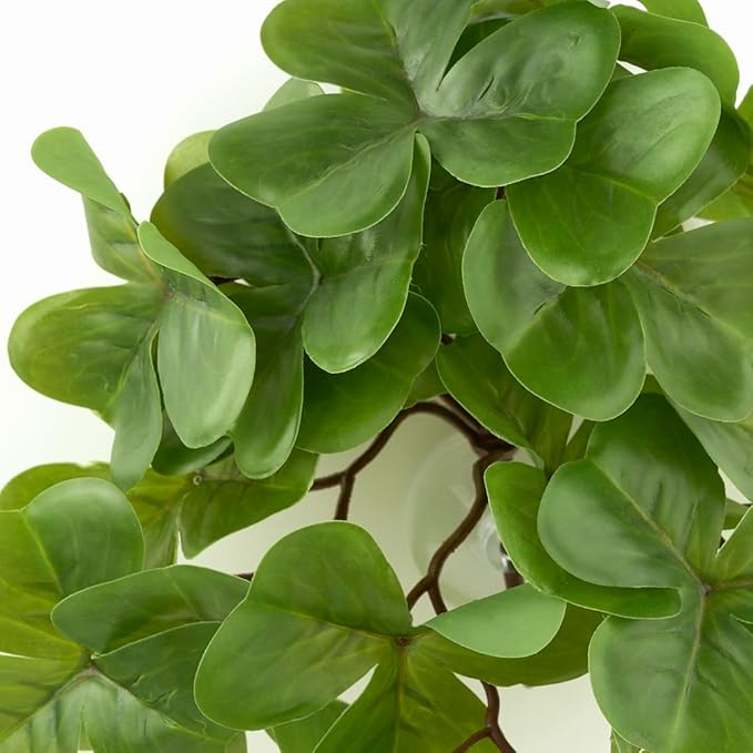 Reptile Plants for Terrarium, Amphibian Habitat Decor Artificial Hanging Plants with Suction Cup - Fake Shamrock