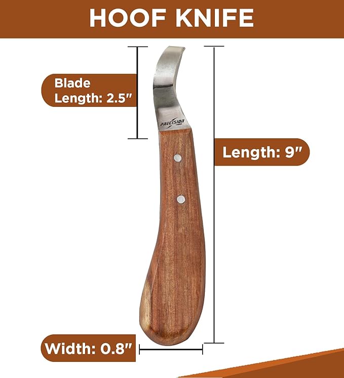 Hoof Knife Loop Blade Japanese Stainless Steel