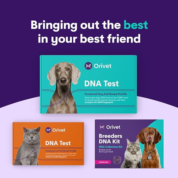 ORIVET Dog DNA Test Kit - Beagle Full Breed Profile | Puppy Testing Against 250 Medical Health Risks & Traits | Genetic Fingerprint & Wellness Plan | at Home Cheek Swab | Quick Results