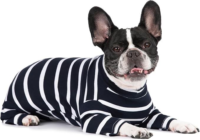 Dog Surgery Recovery Suit for Male/Female, Post Surgery Dog Shirt, After Surgery Dog Bodysuit, E-Collar & Cone Alternative Surgical Clothes, Anti-Licking Dog Snugly Onesie