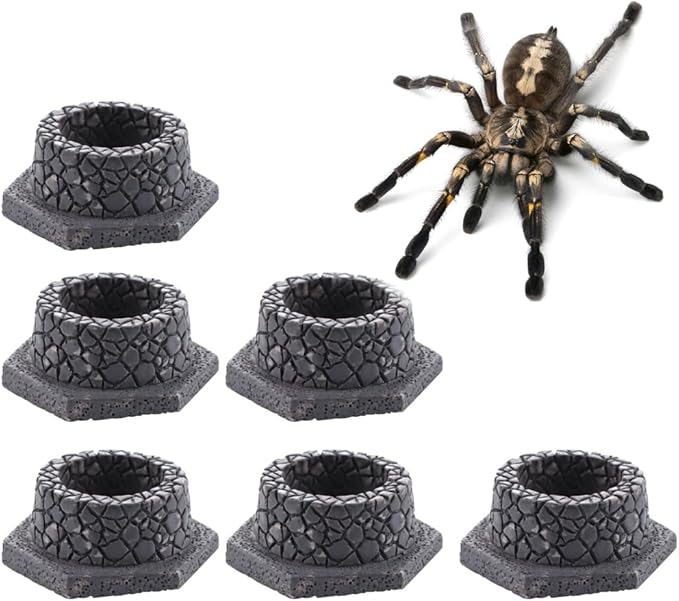 6 Pcs Tarantula Micro Water Bowl Mini Resin Dish Tiny Bowl for Spider Tarantula Millipede Insect Small Reptile (Well Shape)