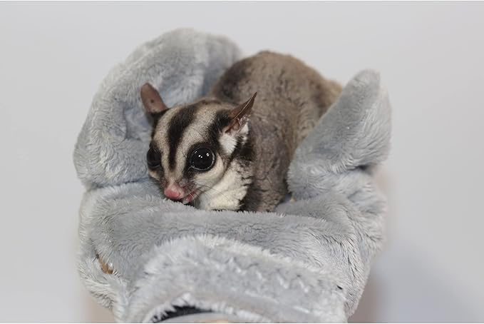 Exotic Nutrition Calming Glove - Comfy Bonding Mitt for Sugar Gliders, Hedgehogs, Rats, Hamsters, & Other Small Pets