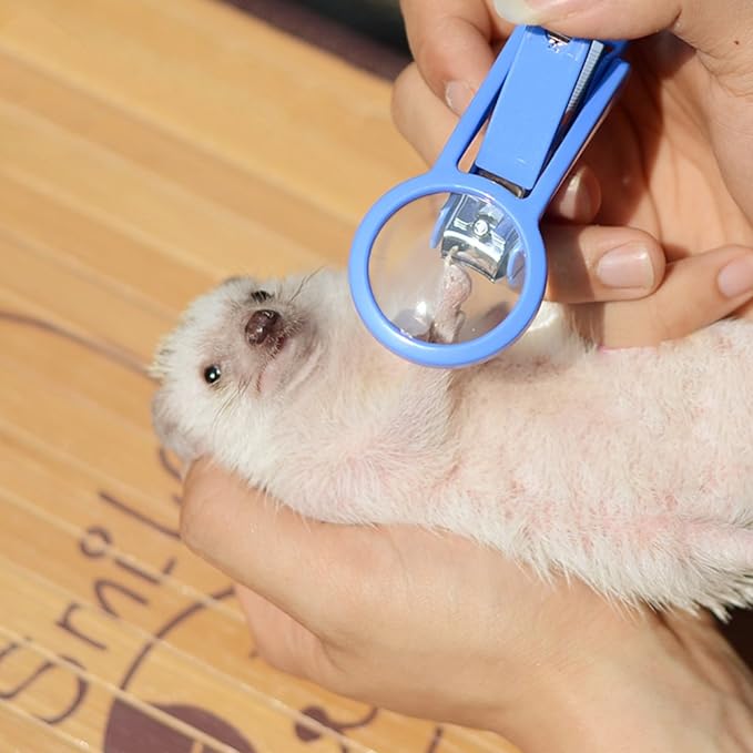 Pet Hamster Hedgehog Nail Clipper Trimmer Small Animal Toenail Clippers with Magnifier (Random Color)