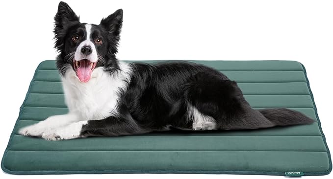BALANCE Dog Crate Pad, Dog Foam Crate Mat Kennel Pad, Washable Water-Resistant Pet Bed Flat Dog Cag Mat for XX-Large Dogs