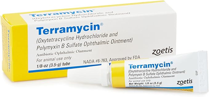 Terramycin Antibiotic Ointment for Eye Infection Treatment in Dogs, Cats, Cattle, Horses, and Sheep, 0.125oz Tube