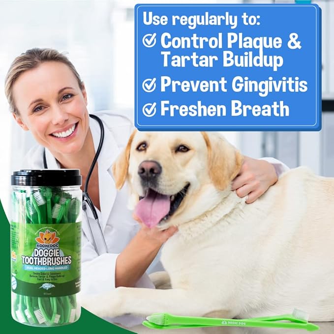 Bodhi Dog Dental Gel Freshens Bad Breath & Reduces Tartar & Plaque Build Up + Dual-Headed Long Dog Toothbrush | Safe and Super Soft Bristles for Gentle Pet Dental Care | Oral Care Bundle for Pets