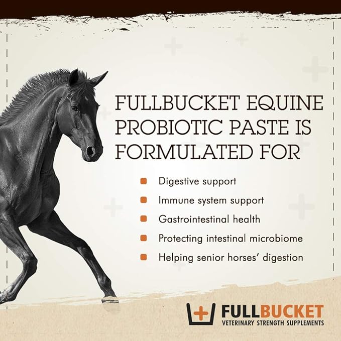 Equine Probiotic Paste with Saccharomyces Cerevisiae Boulardii for Daily Digestive Optimization; Concentrated Formula with 100 Billion CFUs, 1 Tube