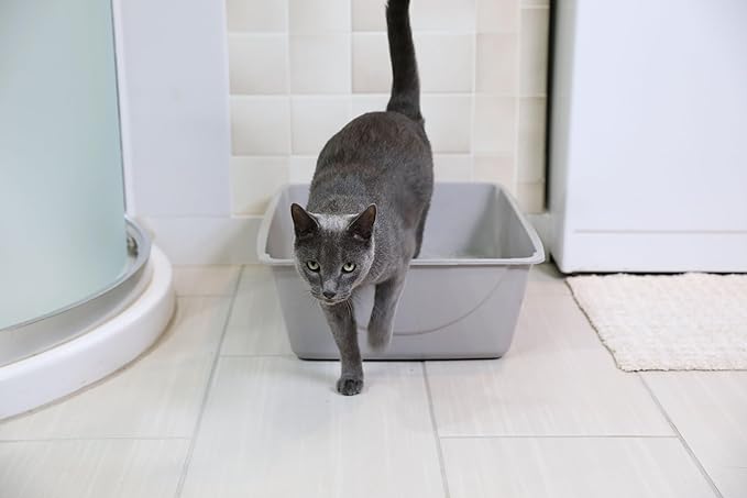 Petmate Open Cat Litter Box, Extra Large Nonstick Litter Pan Durable Standard Litter Box, Mouse Grey Great for Small & Large Cats Easy to Clean, Made in USA