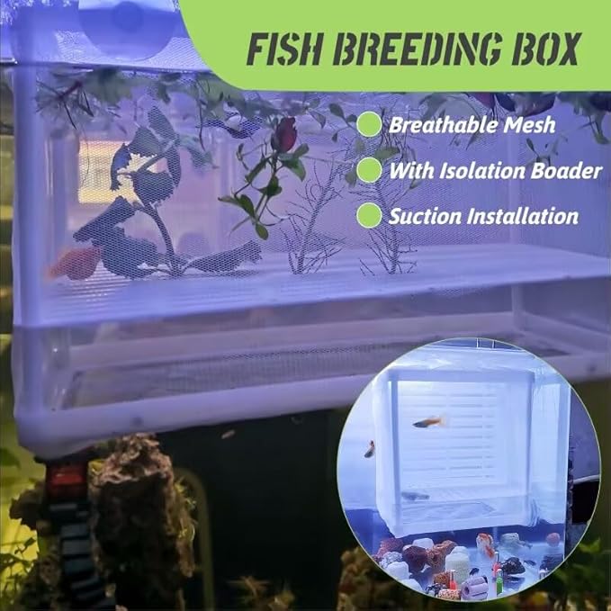 Fish Breeder Box Fish Aquarium Isolation Box Fish Divider Breeder Box with Suction Cups for Baby Fishes Shrimp Clownfish Guppy White