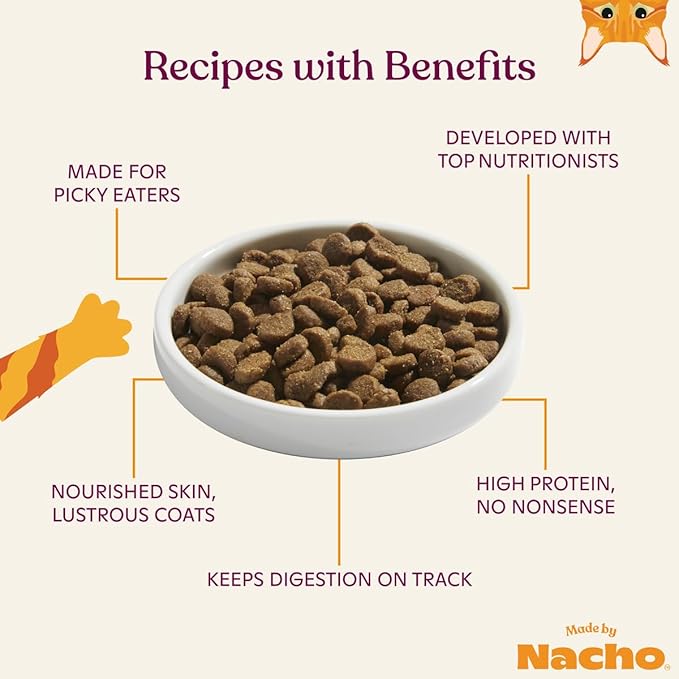 Made by Nacho Bone Broth Infused Dry Cat Kibble - Sustainably Caught Salmon and Pumpkin - Premium Grain-Friendly Cat Food 4lb Bag, Limited Ingredients