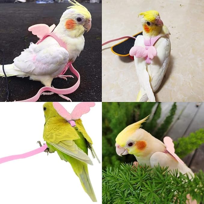 Birds Adjustable Harness and Leash, Parrot Outdoor Flying Training Traction Rope Straps with Cute Wing for Small Animal Birds, Parrots, Pigeons, Lizard, Turtles (XS,Pink)