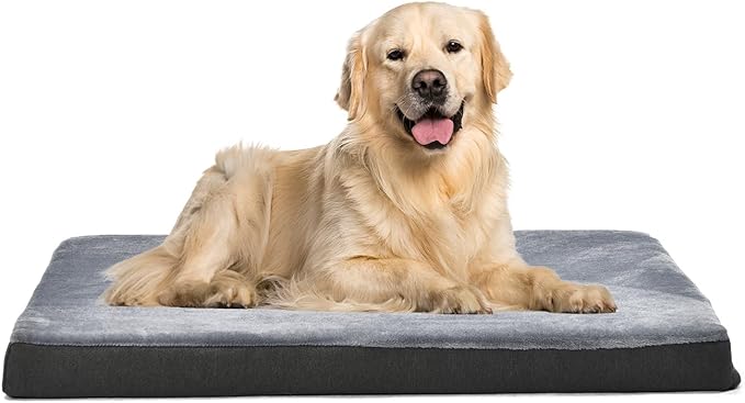 Amazon Basics Orthopedic Gel Foam Mattress Dog Pet Bed with Removable Cover, XX-Large, Grey, 50"L x 34"W x 5"H