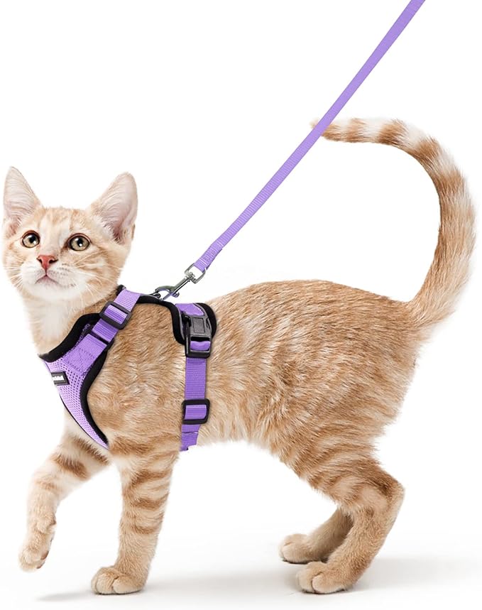 rabbitgoo Cat Harness and Leash for Walking, Escape Proof Soft Adjustable Vest Harnesses for Cats, Easy Control Breathable Reflective Strips Jacket, Light Purple, S