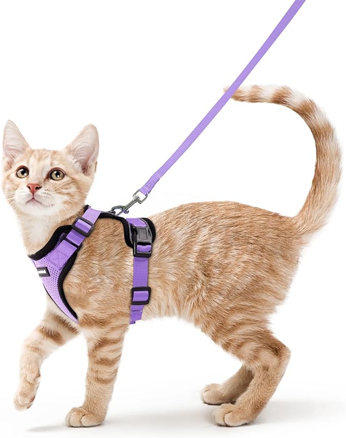 rabbitgoo Cat Harness and Leash for Walking, Escape Proof Soft Adjustable Vest Harnesses for Cats, Easy Control Breathable Reflective Strips Jacket, Light Purple, XS