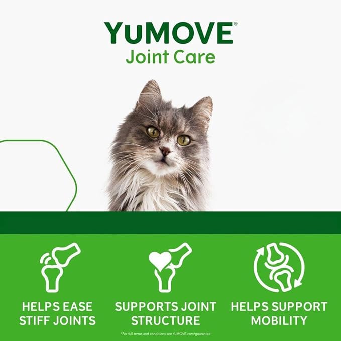 Joint Care for Senior Cats