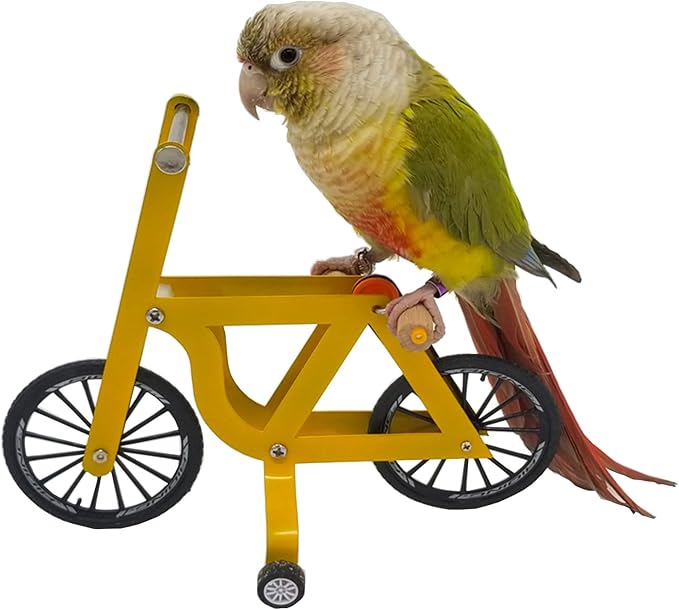 QBLEEV Bird Intelligence Training Toy，Parrot Puzzle Bicycle Toy for Small Medium Bird，Parrot Educational Table Top Trick Prop Toy，Bird Foot Talon Toy for African Grey Cockatoo Eclectus Conures