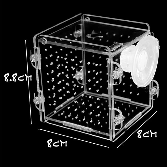 Fish Breeding Box, Acrylic Aquarium Isolation Box Fish Breeder Box with Suction Cup Aquarium Fish Hatchery Incubator for Newborn Baby Fry Shrimp Betta Guppy Clownfish