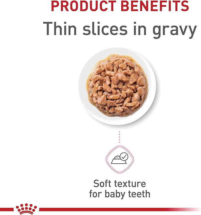 Royal Canin Feline Health Nutrition Kitten Thin Slices in Gravy Canned Cat Food, 3 oz can (24-count)
