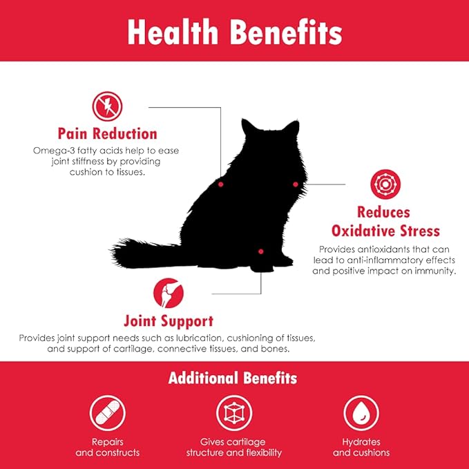 Joint MAX Liquid for Cats - Vitamins, Minerals, Antioxidants - Glucosamine, Chondroitin - Supports Joints and Cartilage Health, Chicken Flavor - Veterinarian Formulated - 8 fl oz