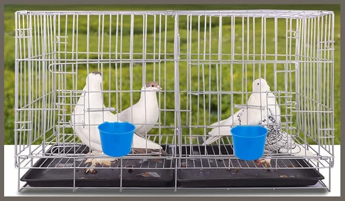 40 Pack Cage Cups Birds Feeders Seed Bowl Chicken Feeding Watering Dish Rabbit Water Food Hanging Wire Cages Box 8oz Coop Cups for Pet Parrot Parakeet Gamefowl Poultry Pigeon (Blue)