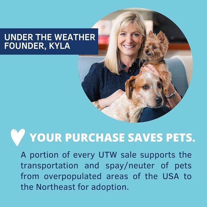 Under the Weather Pet | Ready Balance for Cats | Oral Probiotic and Prebiotic Gel | Maximum Strength Digestive Support | Beneficial Bacteria, Live Probiotics, Vitamins & Prebiotic Inulin