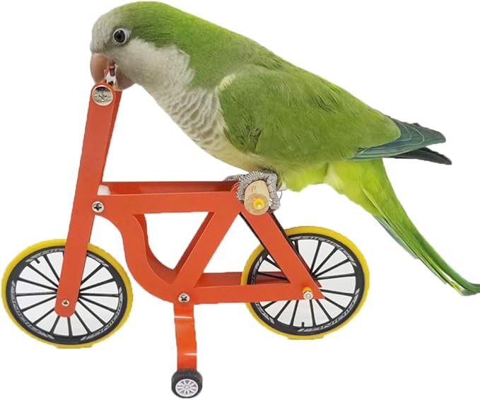 QBLEEV Bird Intelligence Training Toy，Parrot Puzzle Bicycle Toy for Small Medium Bird，Parrot Educational Table Top Trick Prop Toy，Bird Foot Talon Toy for African Grey Cockatoo Eclectus Conures