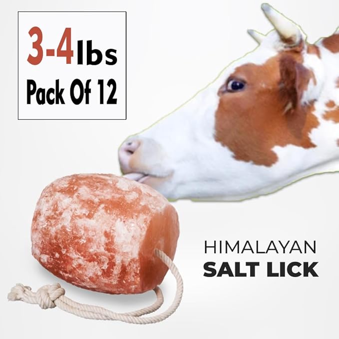 Himalayan Salt Lick on Ropes for Animals - All Natural Pure Mineral Block - Himalayan Pink Salt Block for Deer, Salt Block for Horses, Salt Block for Sheeps, and Cows. 3-4 lbs Each (Pack of 12)