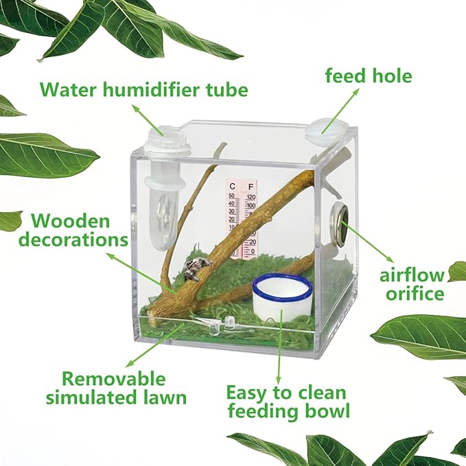 2 Pack Jumping Spider Enclosure,Tarantula Enclosure with Tongs and Droppers,Praying Mantis Eggs to Hatch Box for Small Animals Such As Tarantula,Spiders,Snails,Crickets,Praying Mantis and Ants