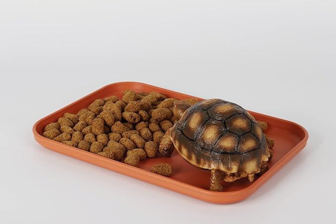 Reptile Large Water Dish, Tortoises Food Bowl - L (14.9 * 10.6 * 0.6)