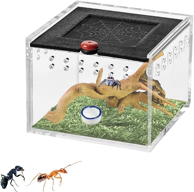 Acrylic Jumping Spider Enclosure,Spider Terrarium with Sunken Wood and Sod,Spider Box with Water Bowl Arboreal Tarantula Enclosure Jumping Spider Habitat for Spiders and Small Insects