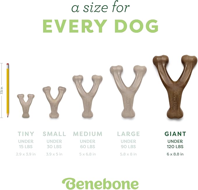 Benebone Wishbone Durable Dog Chew Toy for Aggressive Chewers, Made in USA, Giant, Real Bacon Flavor