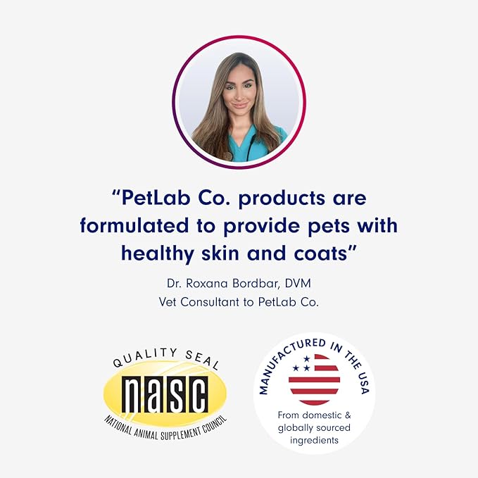 PetLab Co. Itch Relief Chews - Support for Dry, Occasionally Itchy Skin & Coats - Formulated with Turmeric, Omega 3 & 6, Honey - Packaging May Vary