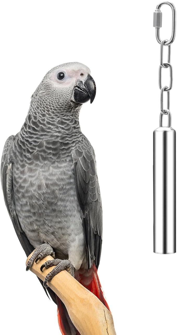 Stainless Steel Bell Toy Bird Cage Hanging Bite Toy for Parrot Parakeet Budgie Cockatiel Conure African Greys (L)