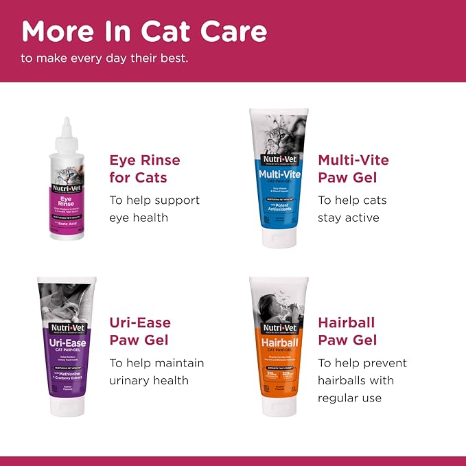 Nutri-Vet Antimicrobial Wound Spray for Cats | Helps Promote Healing and Reduce Pain | 4oz