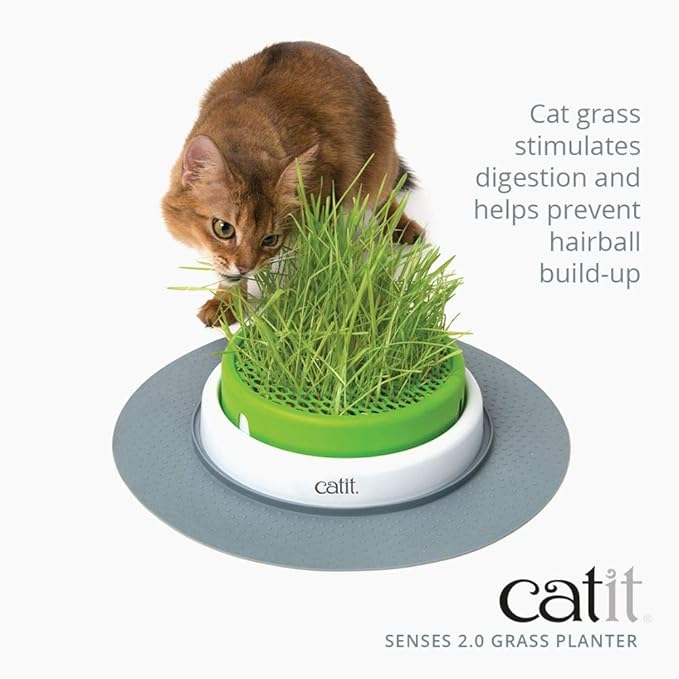 Catit Senses 2.0 Grass Planter & Catit Senses 2.0 Cat Grass Kit (Set of 3)