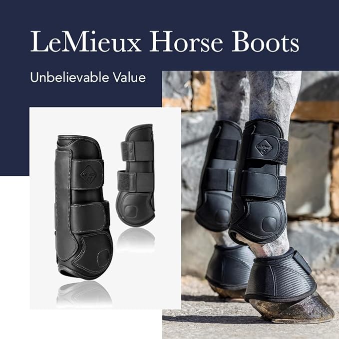 LeMieux Horse Tendon Boots - Protective Gear and Training Equipment - Equine Boots, Wraps & Accessories - Tendon Protection and Support