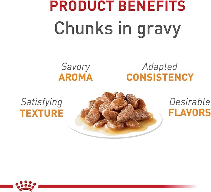 Royal Canin Hair & Skin Care Chunks in Gravy Wet Cat Food Pouch, 3 oz pouch (12-count)