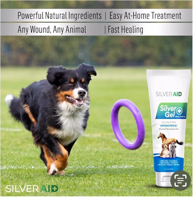 Hot Spot Treament for Dogs, Colloidal Silver Gel Wound Care for Dogs, Cats, Horses, Relief of Rashes, Irritations, Itch, Bites, Burns, Scratches, Minor Cuts, Coat Care, Vet Recommended, Made in USA