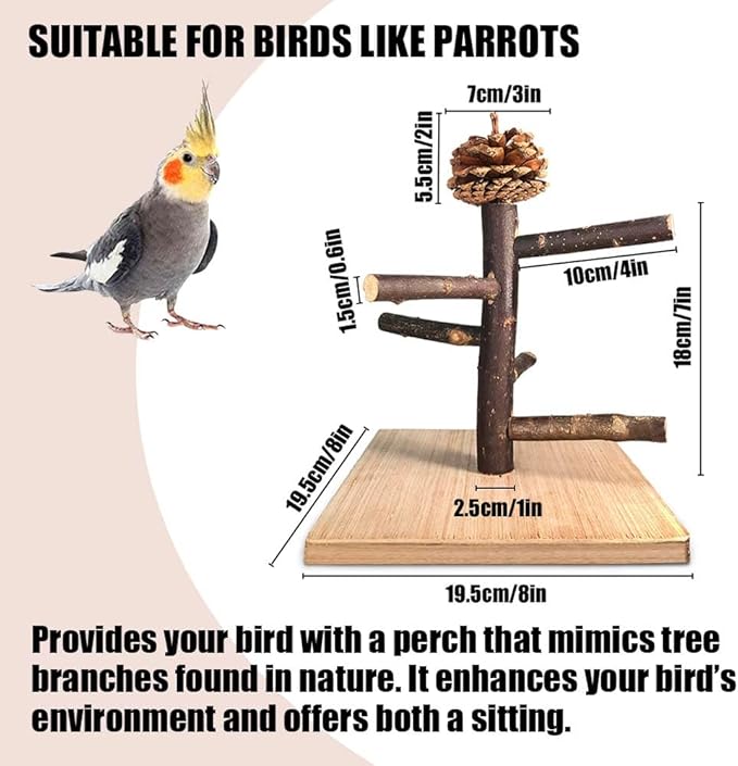 Bird Perch Stand, Portable Tabletop Bird Play Stand Parrot Training Perch for Parakeets Conures Lovebirds or Cockatiels