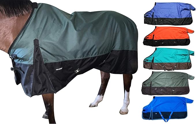 1200Denier Waterproof and Breathable Horse Sheet Tgw Riding Horse Blanket (72", Orange)