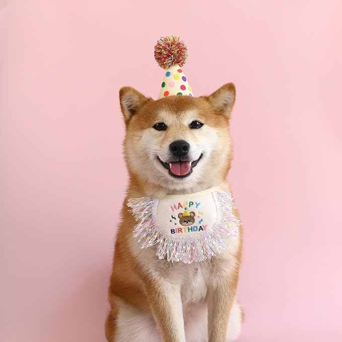 Dog Princess Costumes Puppy Birthday Bandana Scarf and Party Hat Cute Lace Dog Bib Scarf and Birthday Hat Doggy Birthday Party Decorations Set