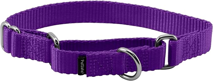 PetSafe Adjustable Martingale Collar - Only Tightens When Dogs Pull, Prevents Slipping Out - Helps with Strong Pullers, Increased Control - Alternative to Choke Collar - 3/4", Small, Deep Purple