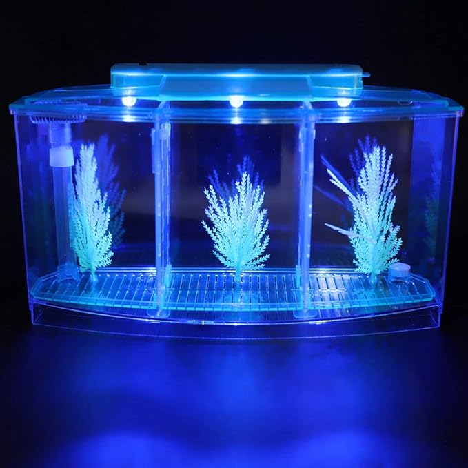 Yctze LED Acrylic Aquarium Fish with Three Divisions Breeding Isolation Box and Kit - Ideal for Small Fish, Betta Fish, Dual and Mini Aquarium Environment (Blue)