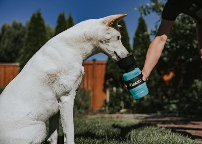 lesotc Dog Water Bottle, Portable Dog Water Dispenser, Leak Proof Pet Water Bottle for Dogs, Dog Travel Water Bottle for Outdoor Walking, Hiking, Travel, BPA-Free, Lightweight